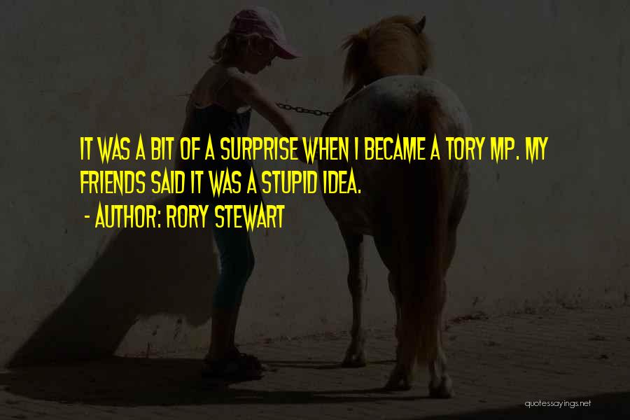 How I Became Stupid Quotes By Rory Stewart