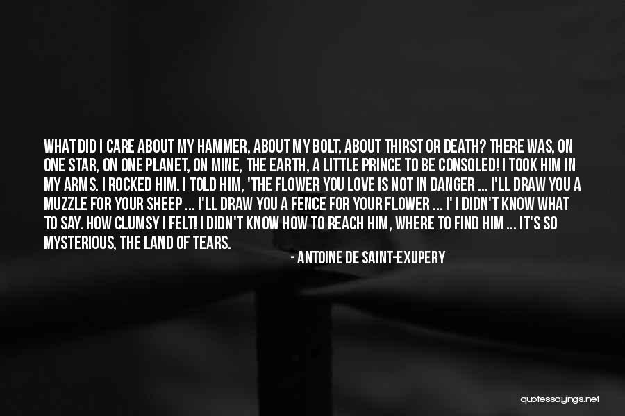 How I Care About You Quotes By Antoine De Saint-Exupery