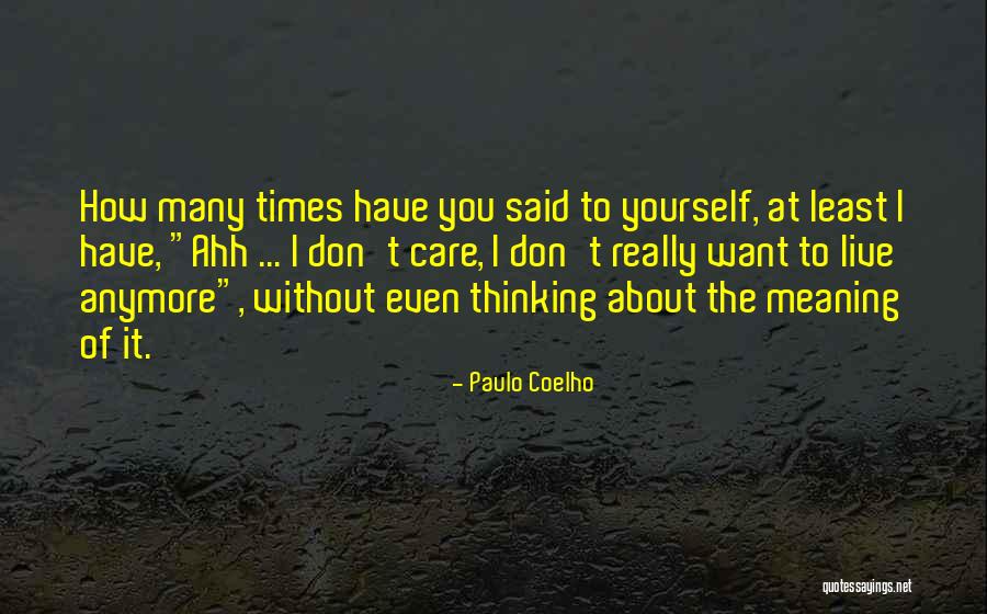 How I Care About You Quotes By Paulo Coelho How I Care About You Quotes By Paulo Coelho