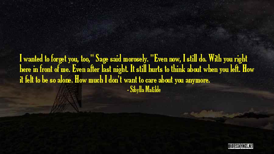 How I Care About You Quotes By Sibylla Matilde How I Care About You Quotes By Sibylla Matilde