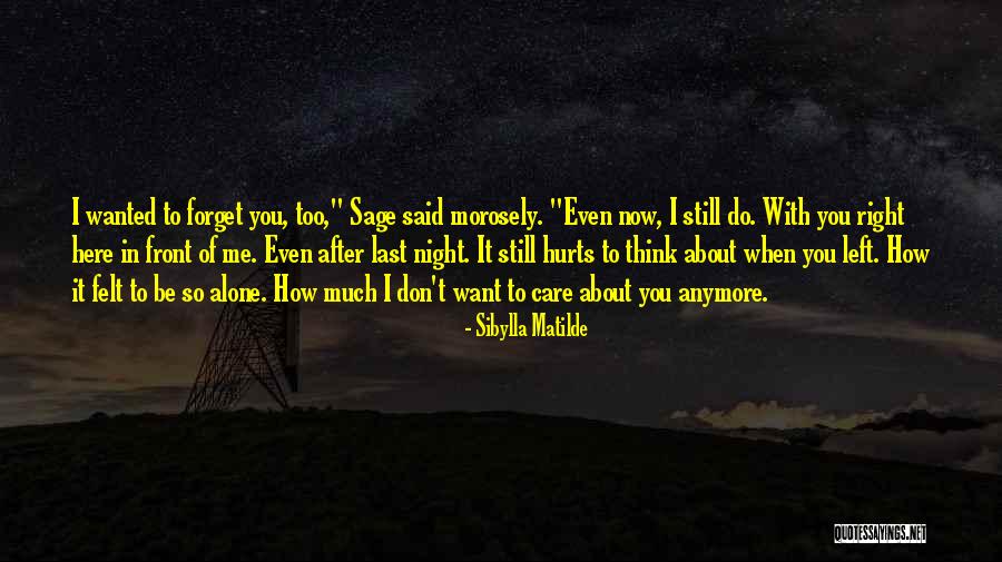 How I Care About You Quotes By Sibylla Matilde