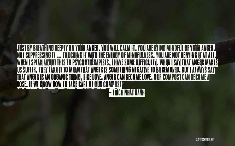 How I Care About You Quotes By Thich Nhat Hanh