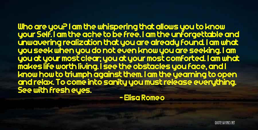 How I Feel When I See You Quotes By Elisa Romeo