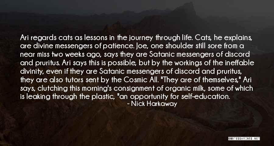 How I Miss Him So Much Quotes By Nick Harkaway