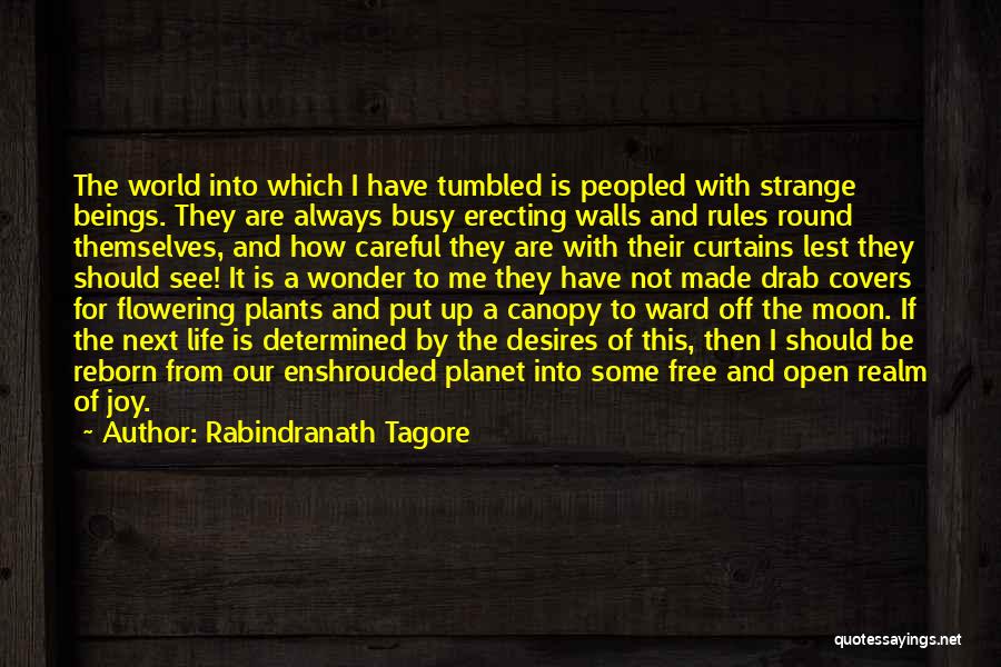 How I See Life Quotes By Rabindranath Tagore