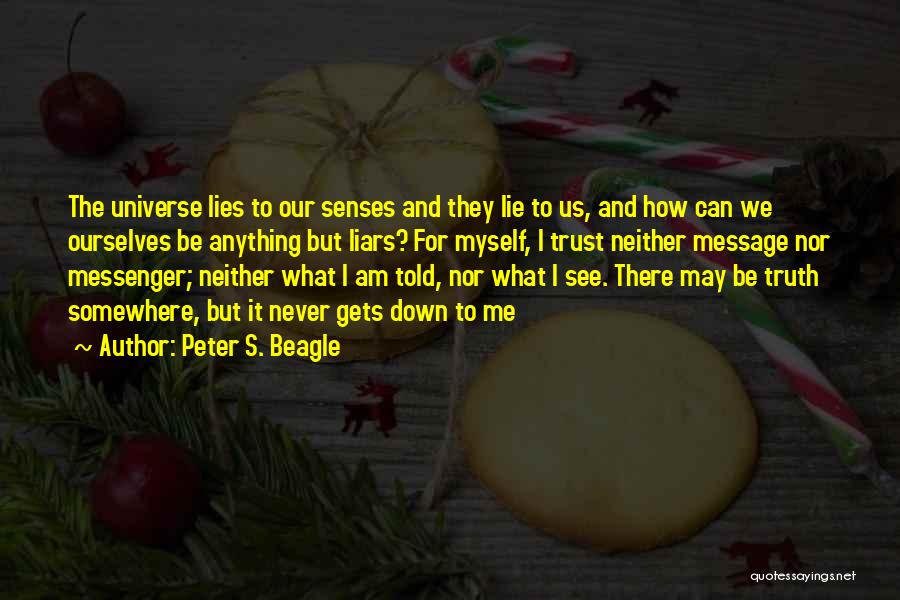 How I See Myself Quotes By Peter S. Beagle