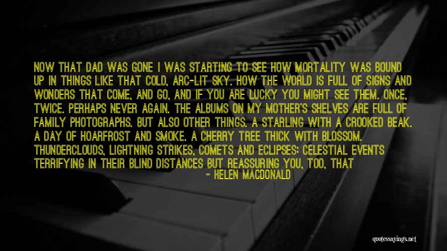 How I See The World Quotes By Helen Macdonald How I See The World Quotes By Helen Macdonald
