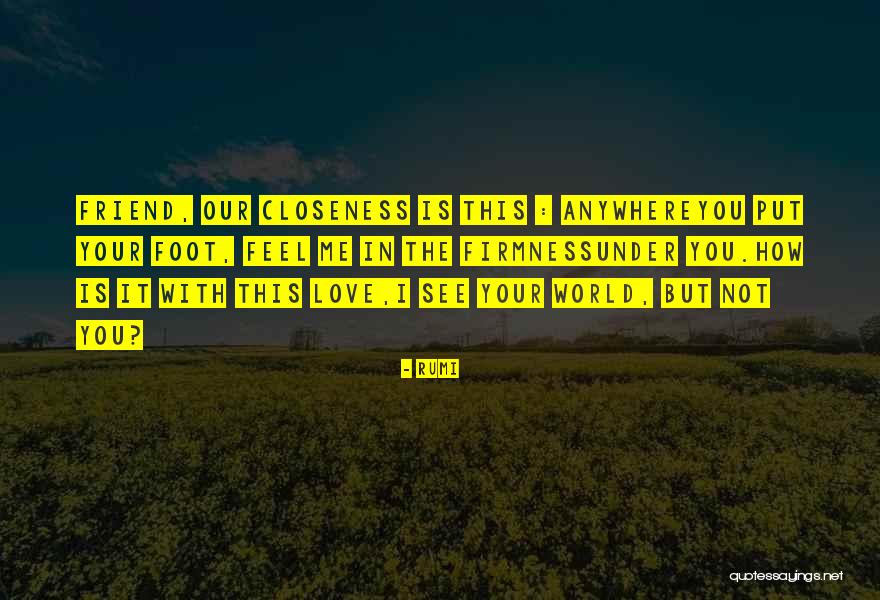How I See The World Quotes By Rumi How I See The World Quotes By Rumi