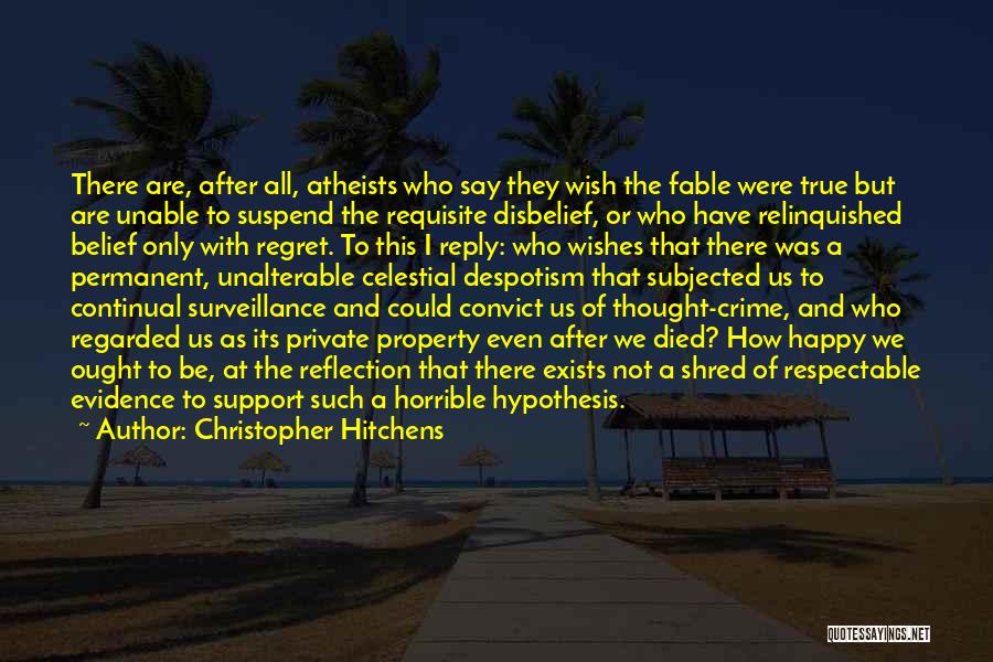 How I Wish I Was There Quotes By Christopher Hitchens