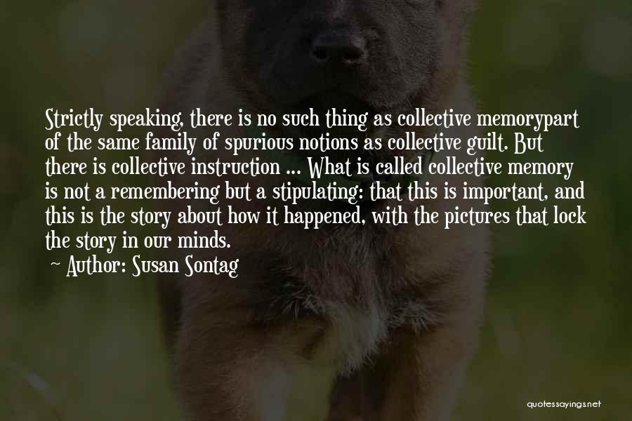 How Important Family Is Quotes By Susan Sontag