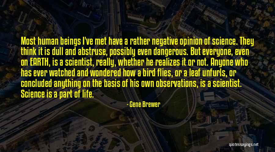 How Is Life Quotes By Gene Brewer How Is Life Quotes By Gene Brewer