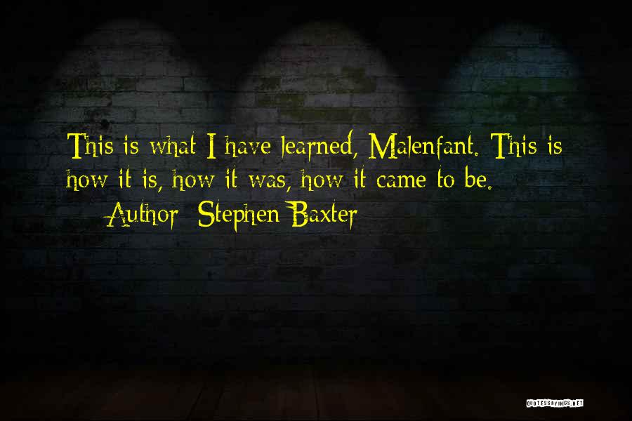 How It Is Quotes By Stephen Baxter