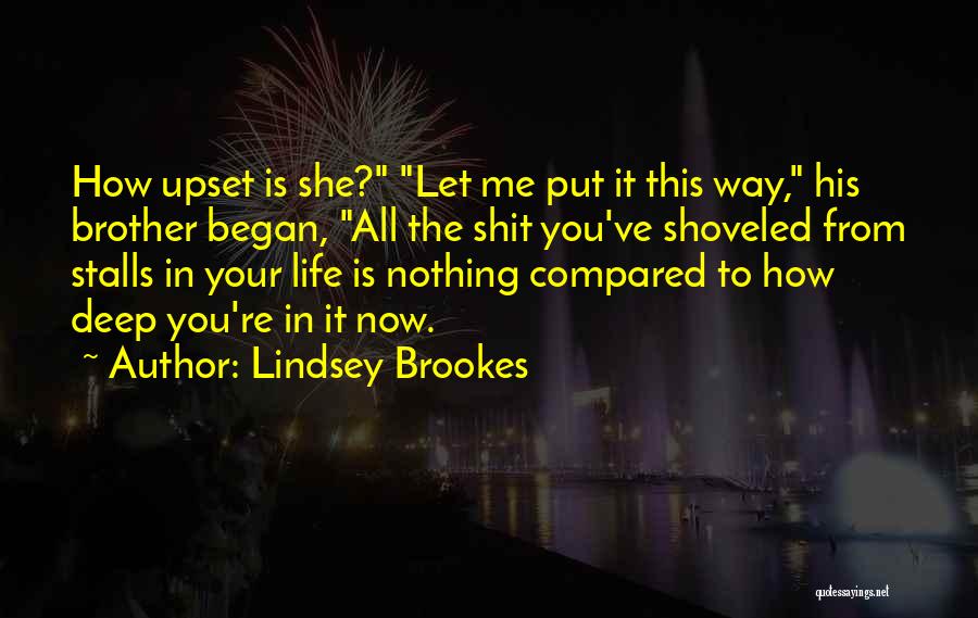 How Life Began Quotes By Lindsey Brookes