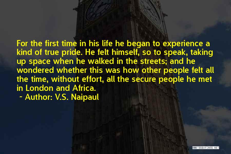 How Life Began Quotes By V.S. Naipaul