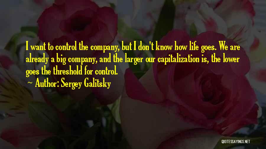 How Life Goes Quotes By Sergey Galitsky