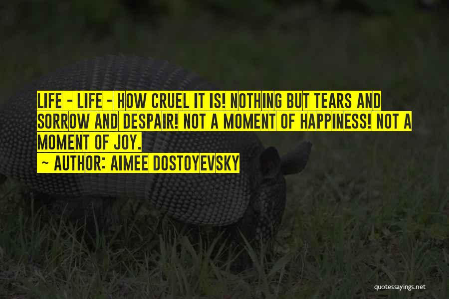 How Life Is Cruel Quotes By Aimee Dostoyevsky