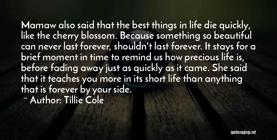 How Life Is So Precious Quotes By Tillie Cole