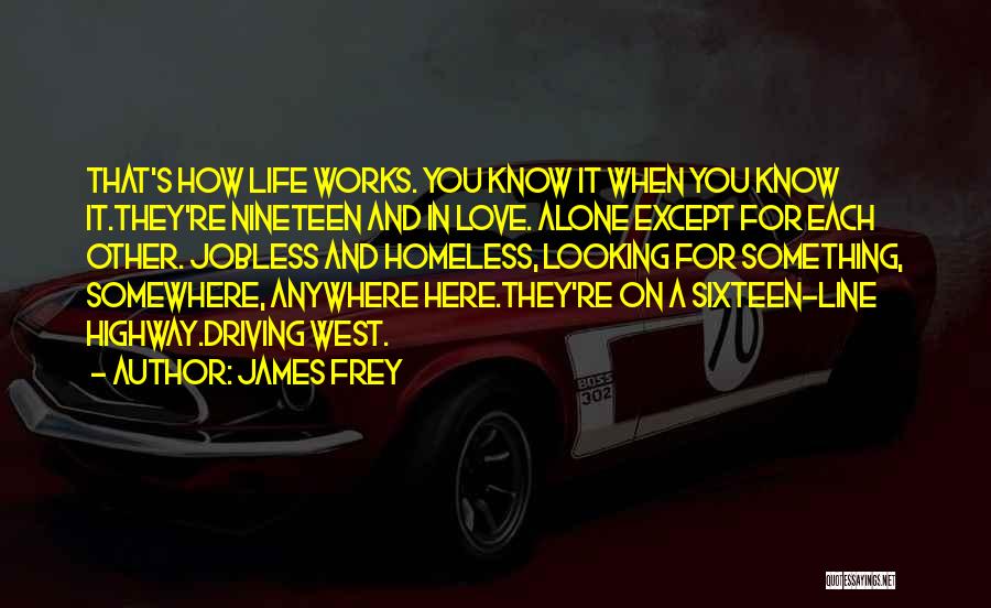 How Life Works Quotes By James Frey