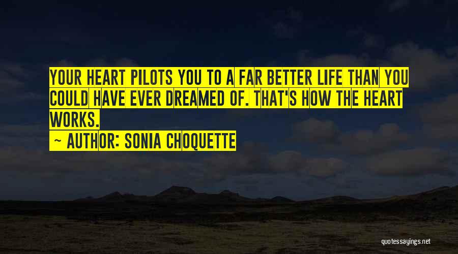 How Life Works Quotes By Sonia Choquette