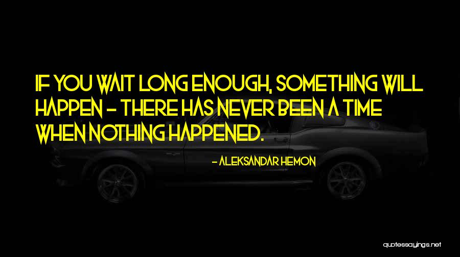 How Long Can You Wait Quotes By Aleksandar Hemon