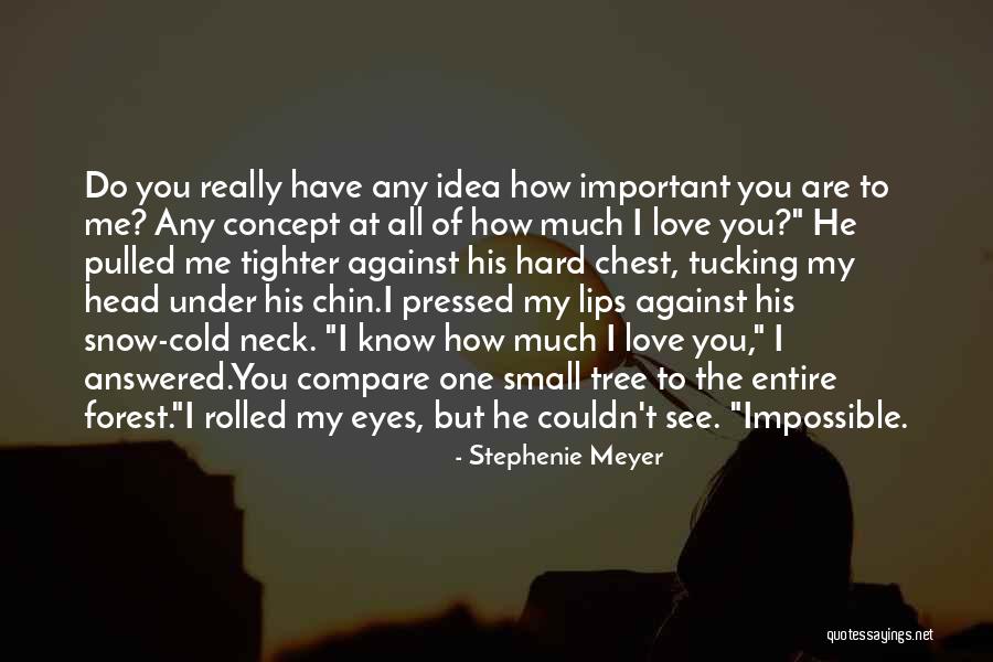 How Much Do You Love Me Quotes By Stephenie Meyer How Much Do You Love Me Quotes By Stephenie Meyer