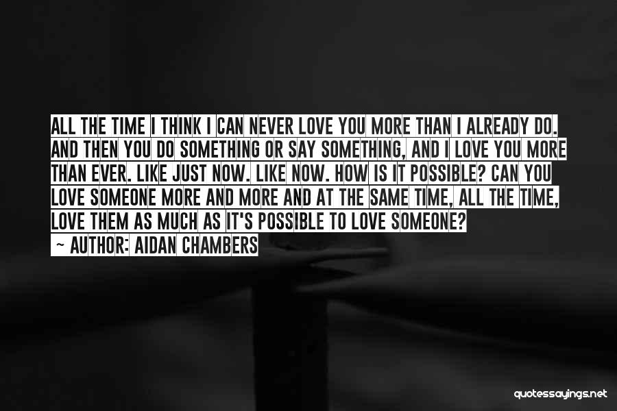 How Much You Can Love Someone Quotes By Aidan Chambers