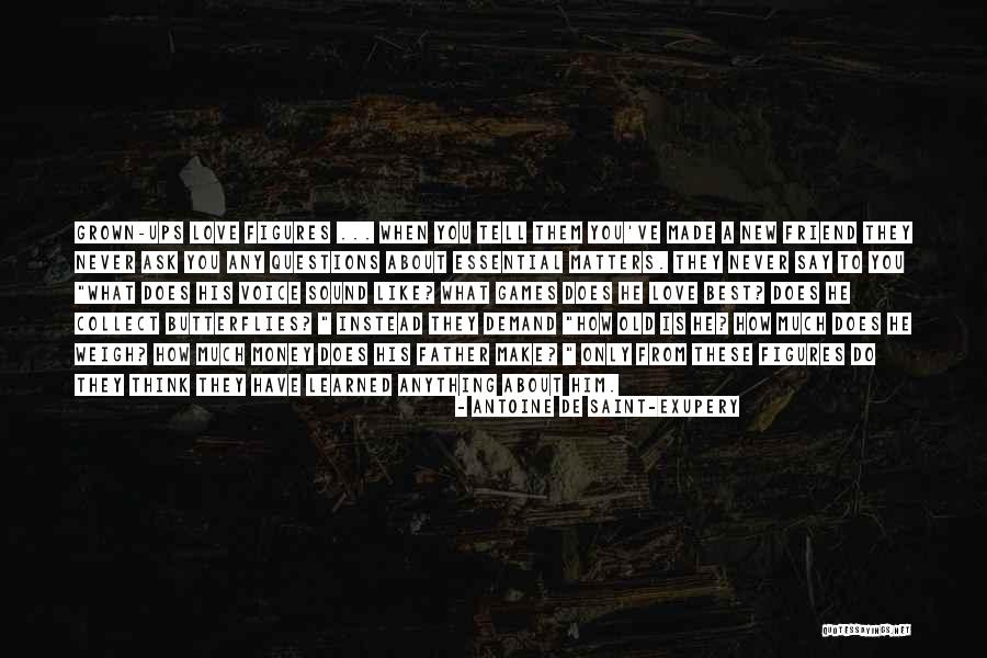 How Much You Like Him Quotes By Antoine De Saint-Exupery How Much You Like Him Quotes By Antoine De Saint-Exupery