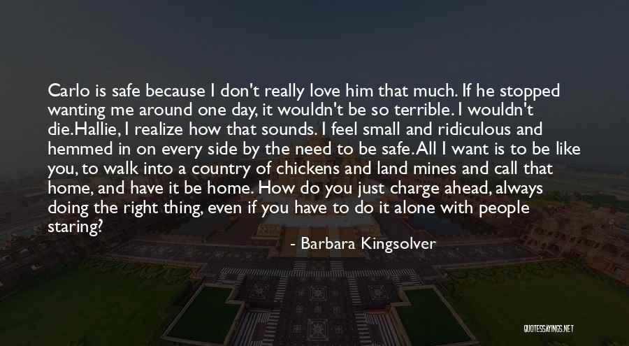 How Much You Like Him Quotes By Barbara Kingsolver