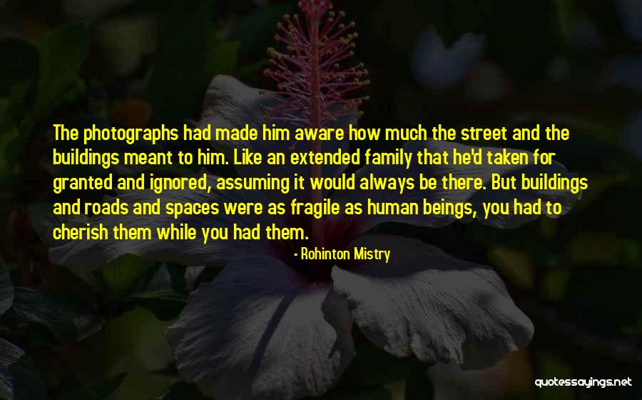 How Much You Like Him Quotes By Rohinton Mistry How Much You Like Him Quotes By Rohinton Mistry