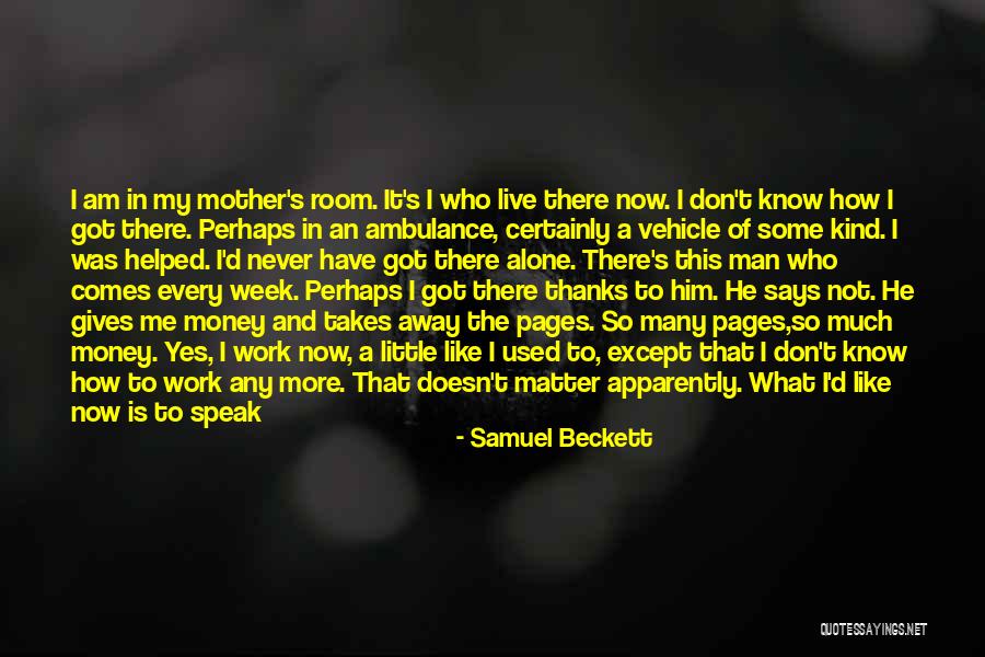 How Much You Like Him Quotes By Samuel Beckett