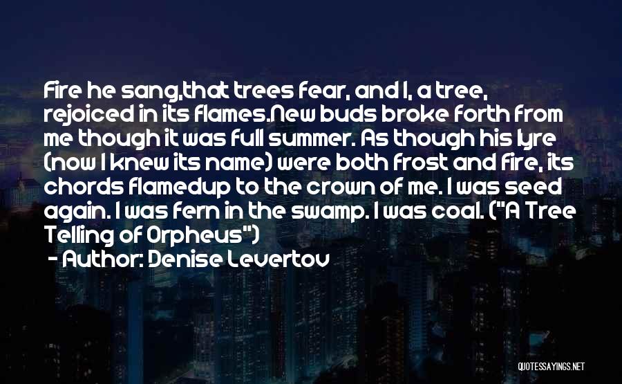 How My Summer Went Up In Flames Quotes By Denise Levertov