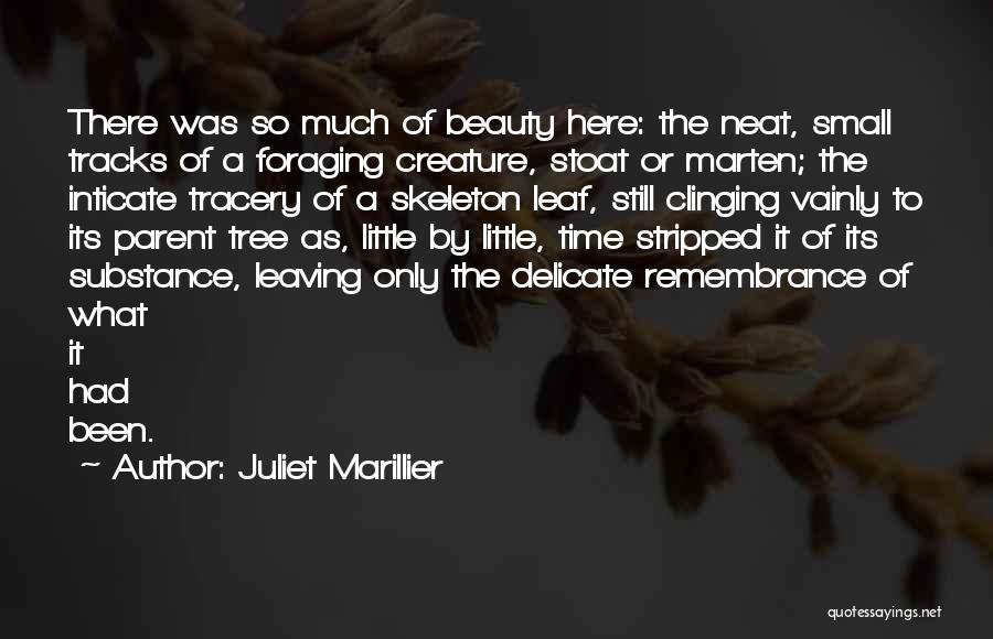 How Neat Is That Quotes By Juliet Marillier