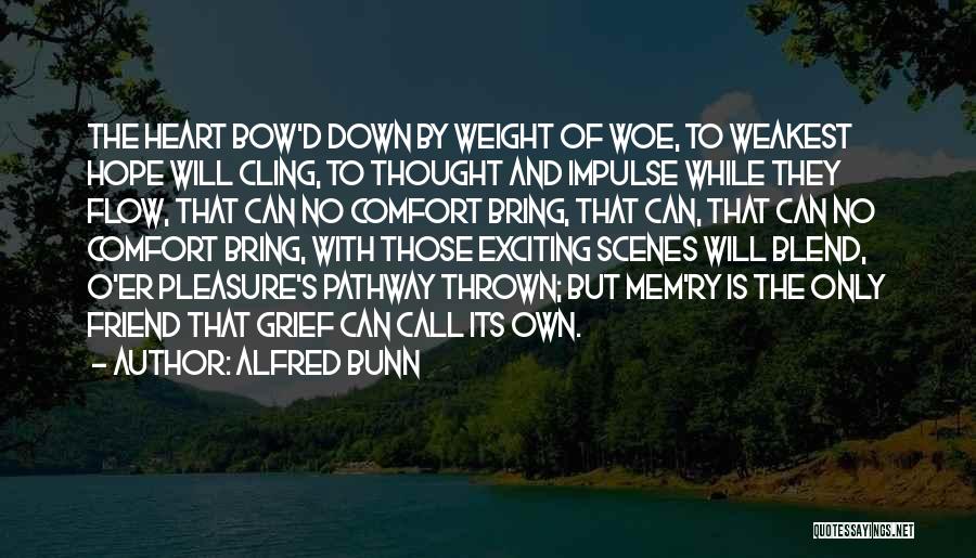 How No One Can Bring You Down Quotes By Alfred Bunn