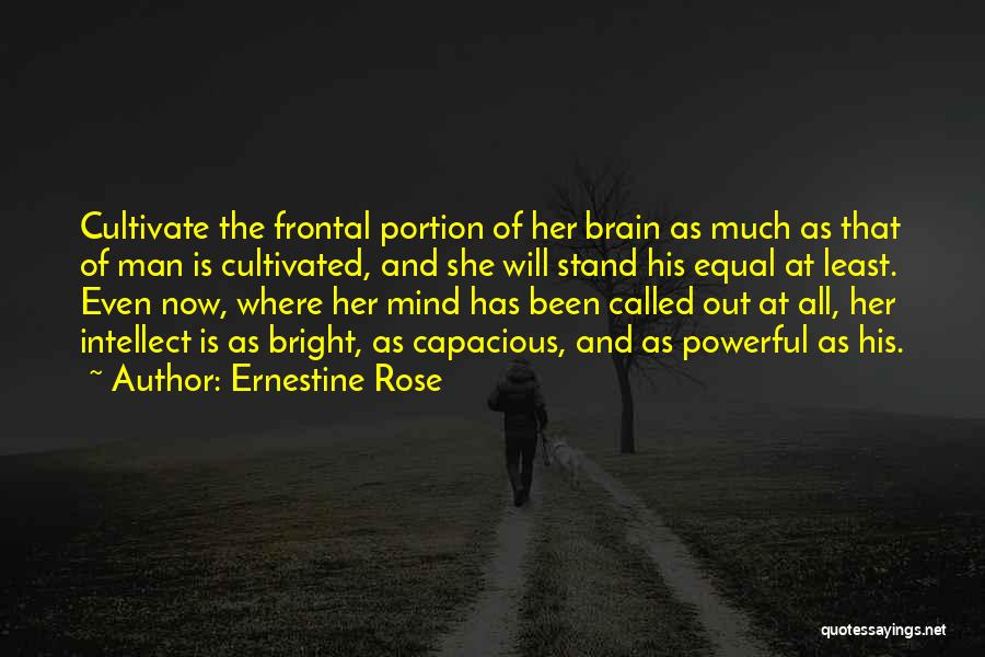 How Powerful The Brain Is Quotes By Ernestine Rose