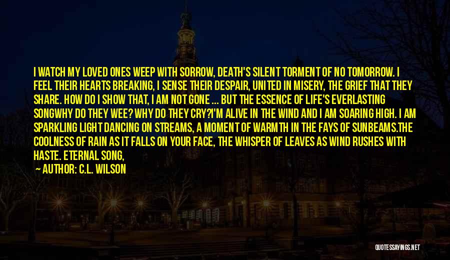 How Sad I Am Quotes By C.L. Wilson