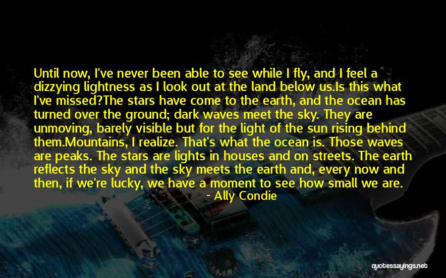 How Small We Are In The Universe Quotes By Ally Condie