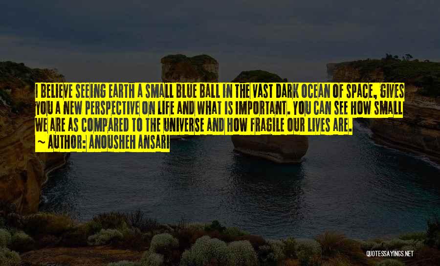 How Small We Are In The Universe Quotes By Anousheh Ansari