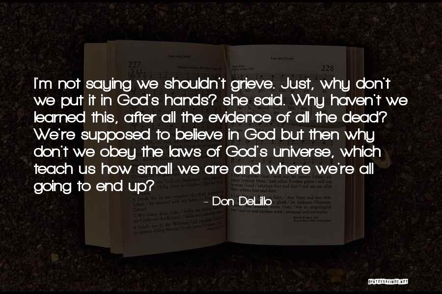 How Small We Are In The Universe Quotes By Don DeLillo