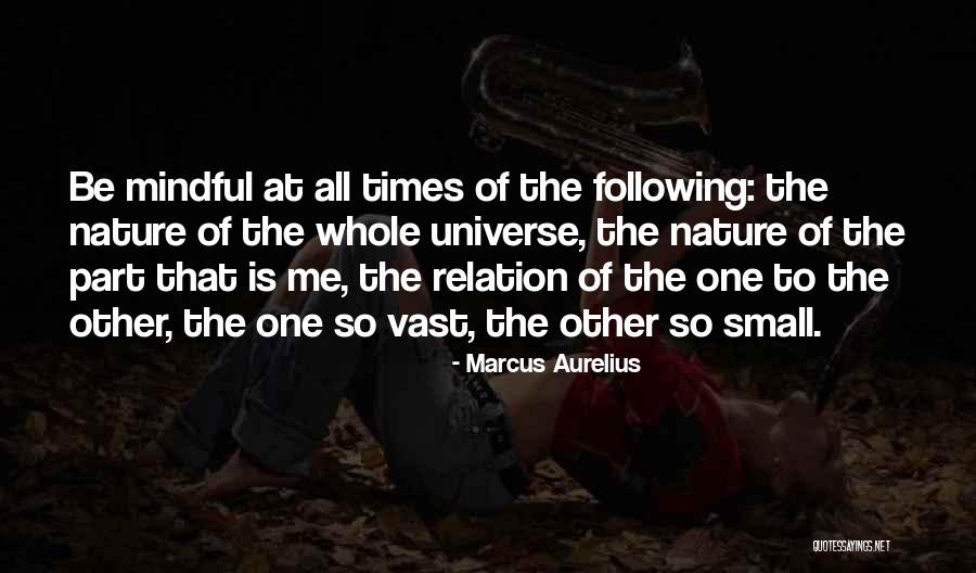 How Small You Are In The Universe Quotes By Marcus Aurelius