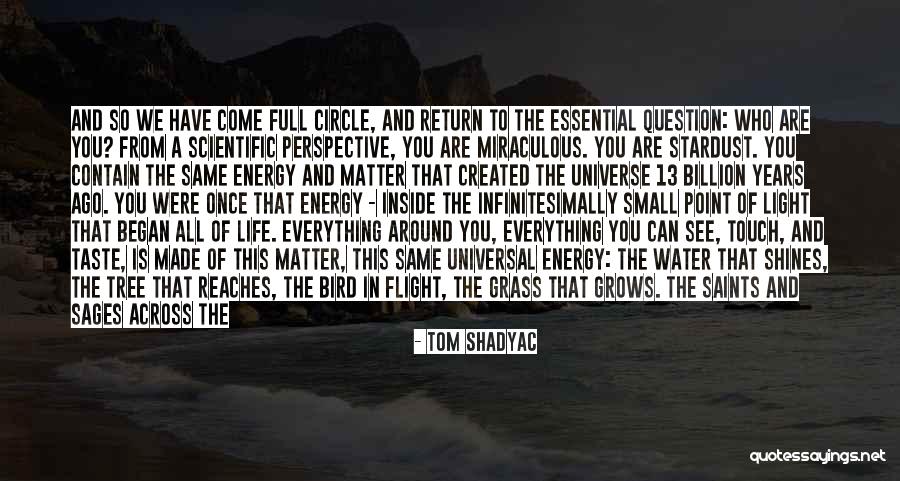 How Small You Are In The Universe Quotes By Tom Shadyac