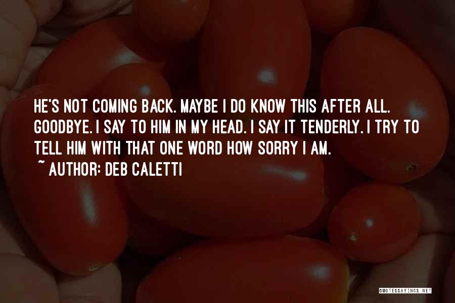 How Sorry I Am Quotes By Deb Caletti