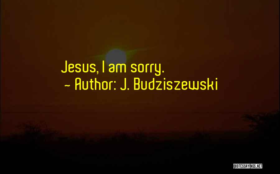 How Sorry I Am Quotes By J. Budziszewski