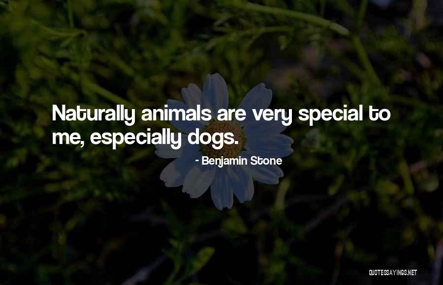 How Special Dogs Are Quotes By Benjamin Stone How Special Dogs Are Quotes By Benjamin Stone