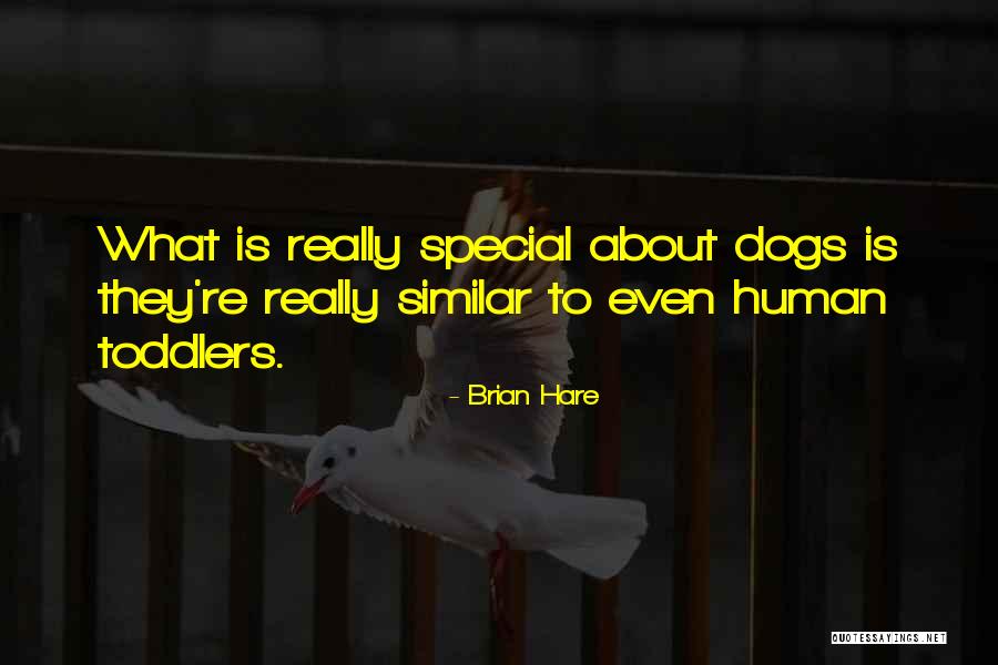 How Special Dogs Are Quotes By Brian Hare How Special Dogs Are Quotes By Brian Hare