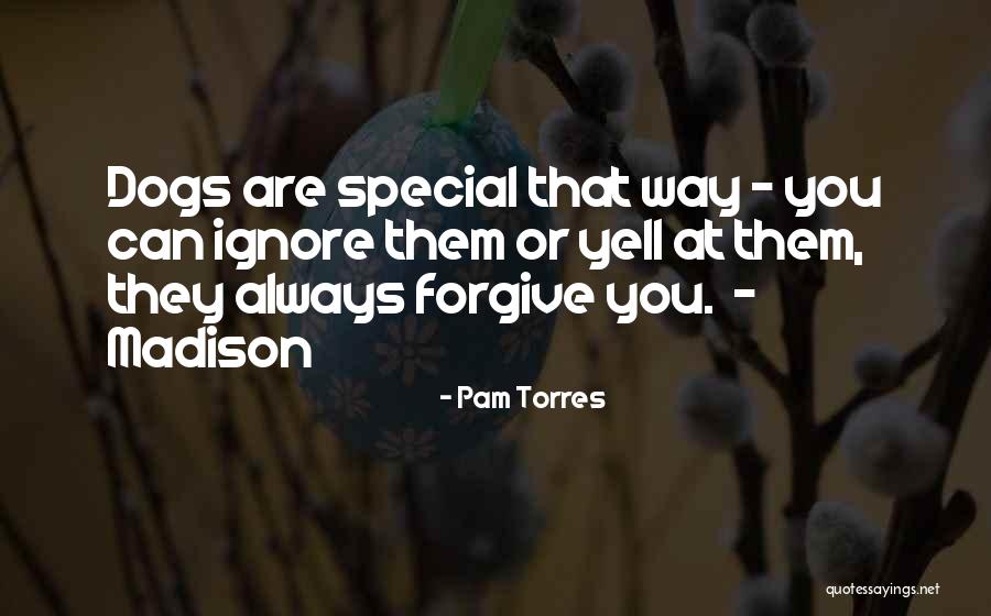 How Special Dogs Are Quotes By Pam Torres How Special Dogs Are Quotes By Pam Torres