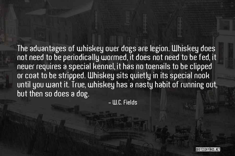 How Special Dogs Are Quotes By W.C. Fields How Special Dogs Are Quotes By W.C. Fields