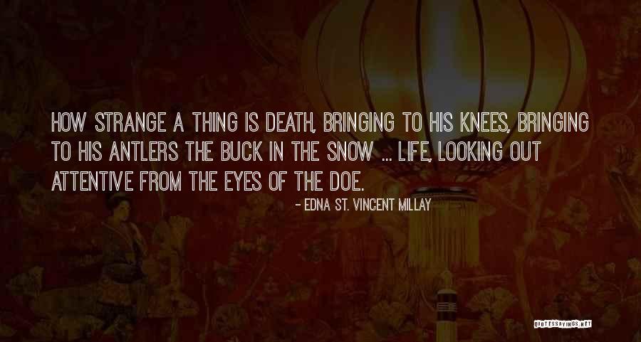 How Strange Is Life Quotes By Edna St. Vincent Millay How Strange Is Life Quotes By Edna St. Vincent Millay