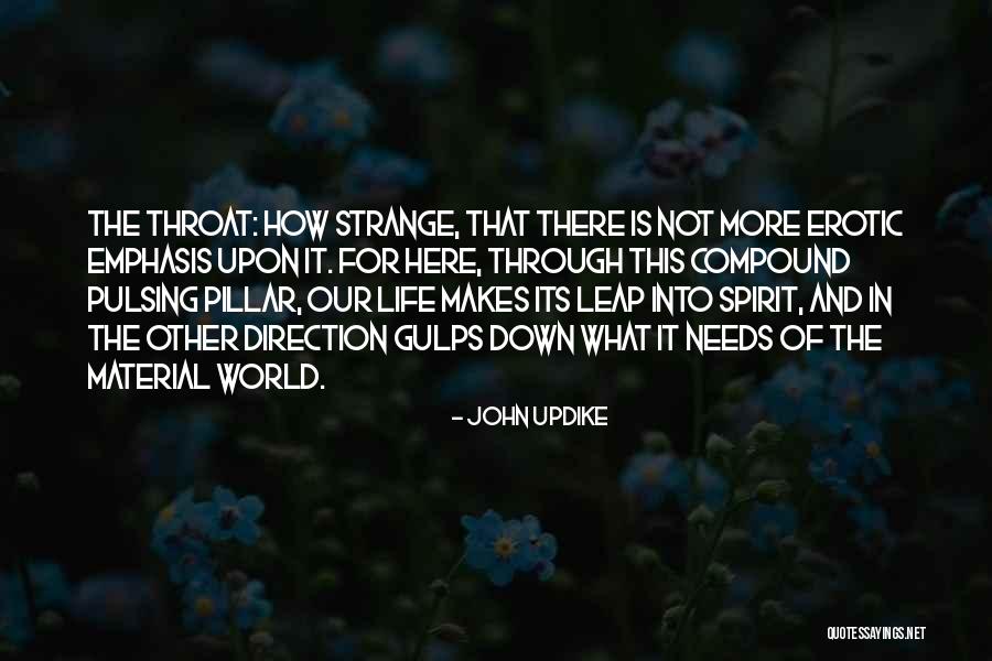 How Strange Is Life Quotes By John Updike How Strange Is Life Quotes By John Updike