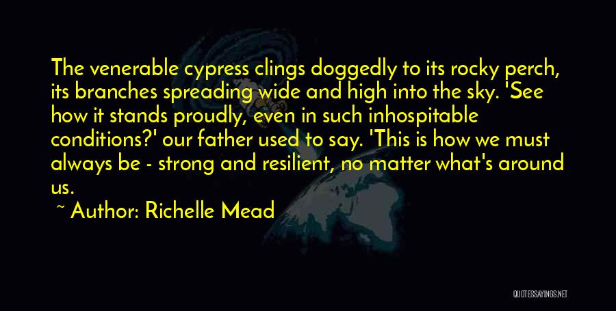 How Strong Quotes By Richelle Mead