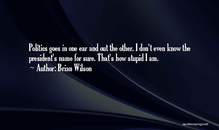 How Stupid I Am Quotes By Brian Wilson
